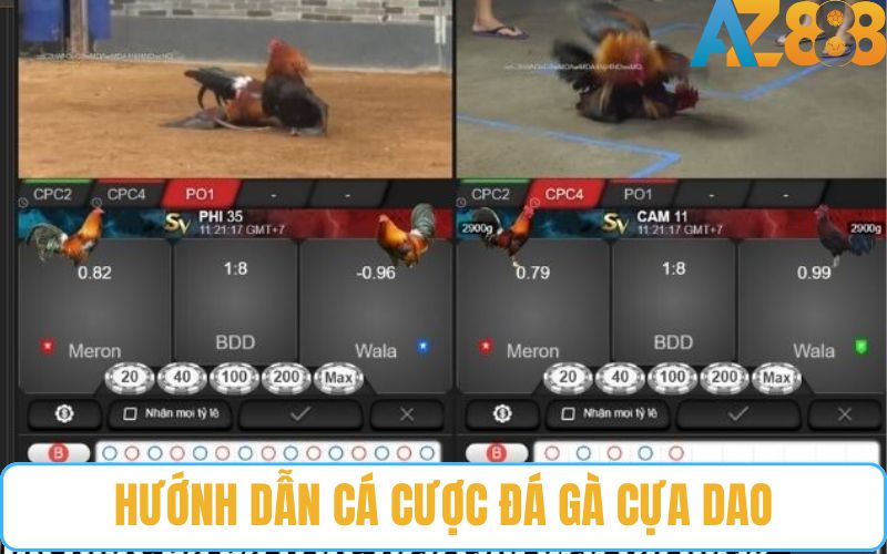 Hướng dẫn chi tiết chơi đá gà cựa dao trực tuyến tại AZ888 Hướng dẫn chi tiết chơi đá gà cựa dao trực tuyến tại AZ888