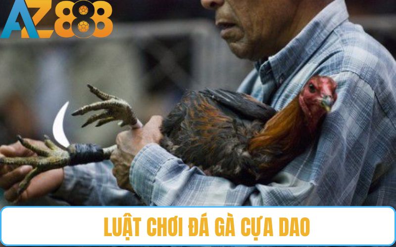Hướng dẫn luật chơi đá gà cựa dao cơ bản Hướng dẫn luật chơi đá gà cựa dao cơ bản