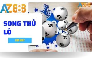 Song Thu Lo nghia la gi Huong Dan Soi Cau Va Cach Nuoi Hieu Qua 1 1 1 1